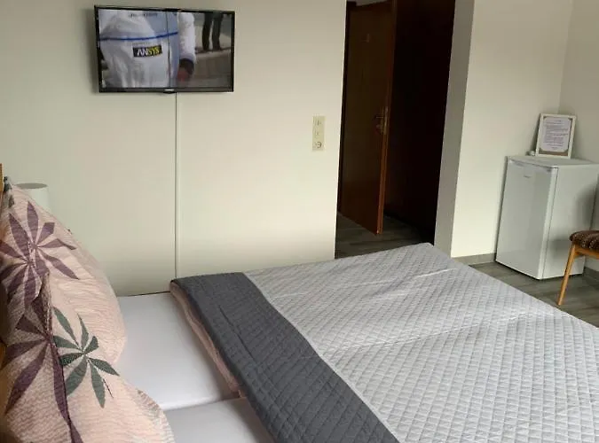 Vina Am Ring Bed & Breakfast 3*