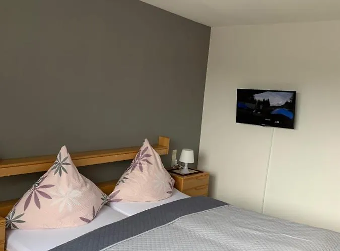 Vina Am Ring Bed & Breakfast 3*